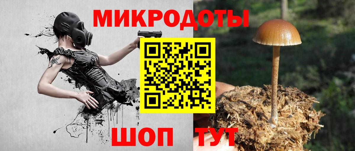 Галлюциногенные грибы Psilocybe  Вход с VPN  Ставрополь 
